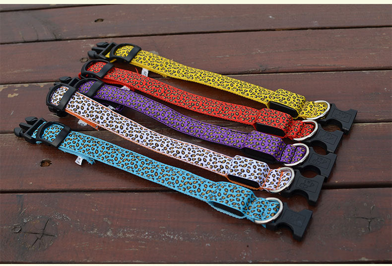 Leopard Print LED Light Up Dog Collar