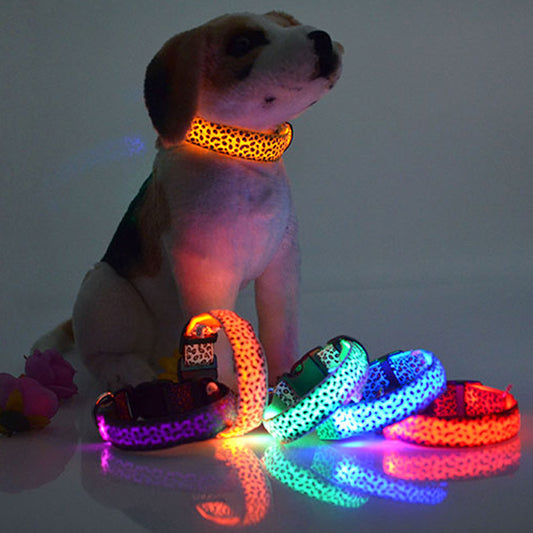 Leopard Print LED Light Up Dog Collar