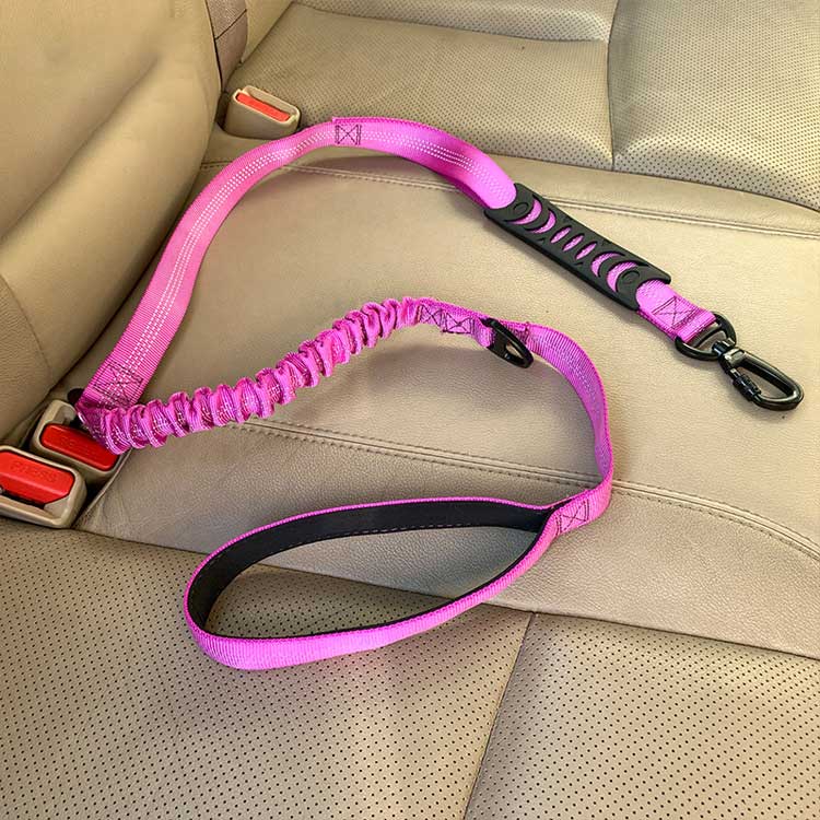 Traction Dual Purpose Dog Rope